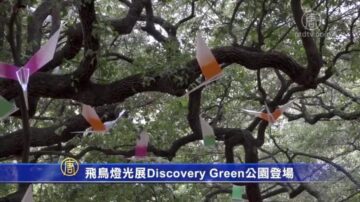 飞鸟灯光展Discovery Green公园登场