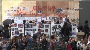 摆街站控诉港府警暴 纽约华人撑香港