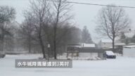 纽约市第一场雪 上州拉响冬季风暴警报