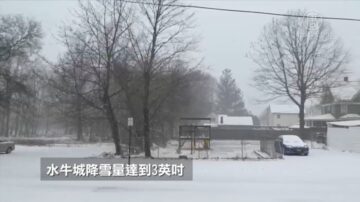 紐約市第一場雪 上州拉響冬季風暴警報