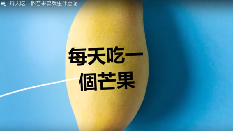 每天吃一个芒果 你会更健康、更年轻（视频）