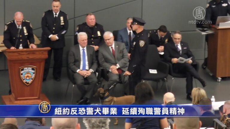 紐約反恐警犬畢業 延續殉職警員精神