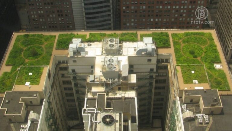 紐約綠色屋頂法生效 新建築須裝太陽能