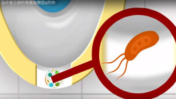 公廁的馬桶座圈是U形的 真的更衛生嗎（視頻）