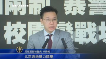 民進黨譴責港警暴行 台音樂人舉辦撐港演唱會