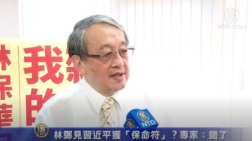 林郑见习近平获“保命符”？专家：错了