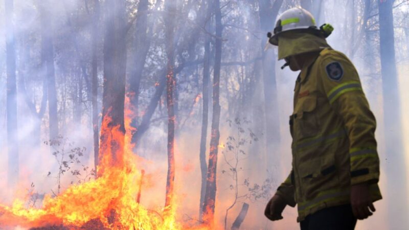 数量空前野火肆虐东澳 至少2死逾百房屋损毁