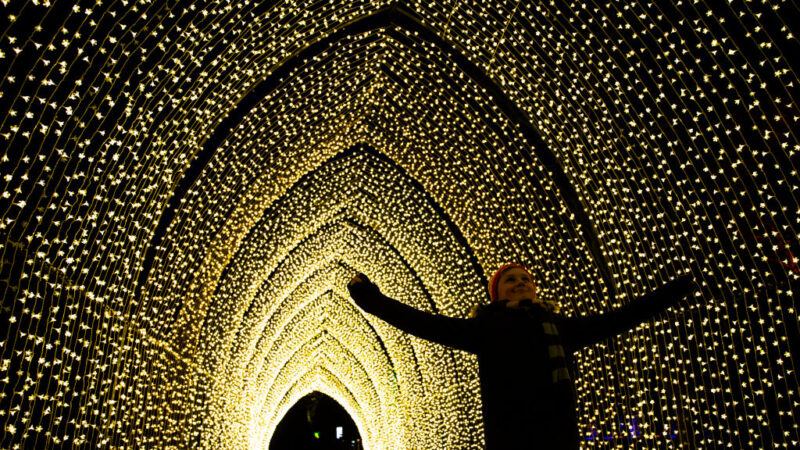 英王家植物園 耶誕浪漫燈光秀美不勝收(視頻)