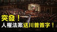 【热点互动】人权法案送交川普签字！媒体纵火案谁是主使？