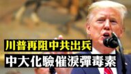 【拍案惊奇】川普再阻中共出兵 中大化验催泪弹毒素
