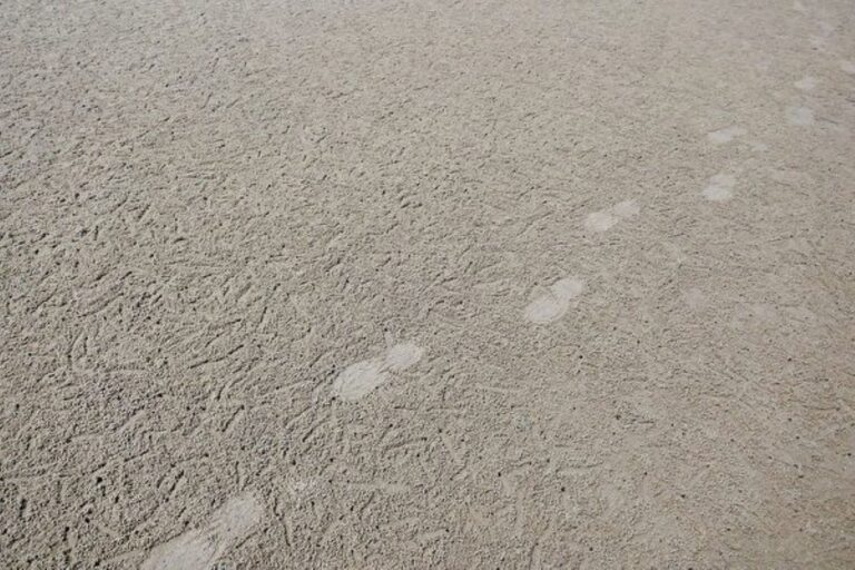 雷達穿透泥土 拍到上萬年前足印