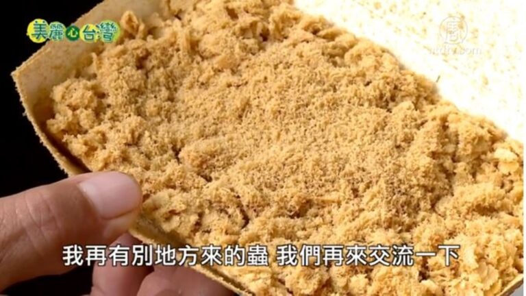 美麗心台灣：黑水虻去化廚餘 口湖清潔隊創佳績