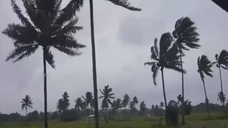 热带气旋横扫斐济 树倒电力断近2000人撤离家园