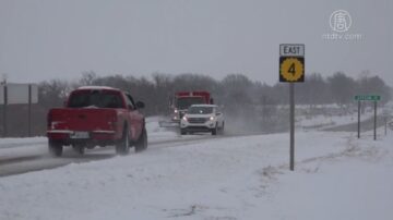 纽约今年首场11吋大雪 中央公园变身雪上王国