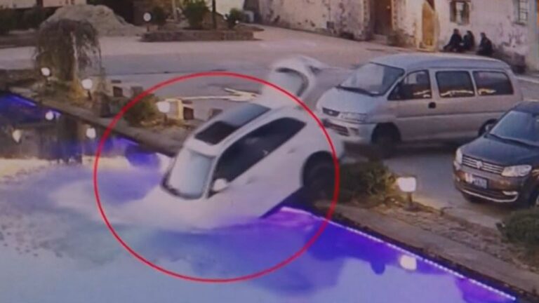 小狗見到主人興奮亂跳 把車子開進池塘(視頻)