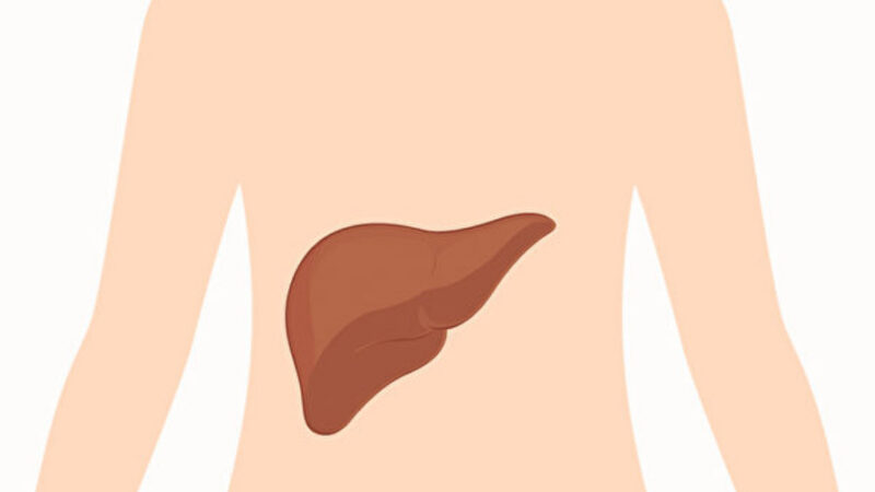 從身體2部位看出肝功能好壞 1招增強肝功能（組圖）