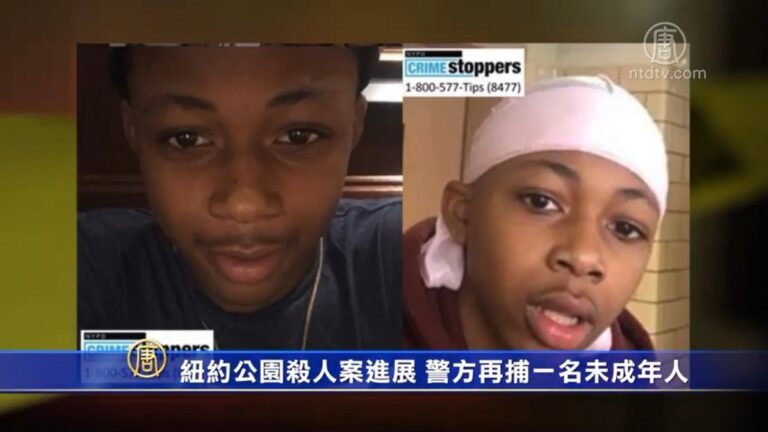 紐約公園殺人案進展 警方再捕一名未成年人