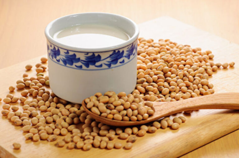 大豆增肌減脂防失智！豆漿等6道養生料理教你做（多圖）