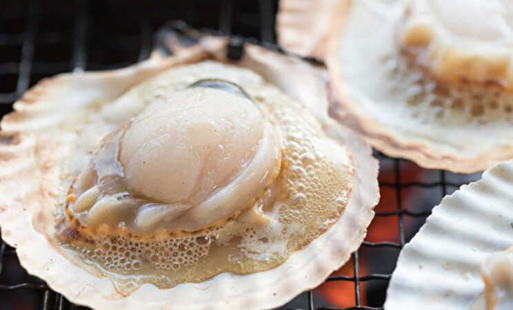 來自大海的美味 貝類安全料理指南