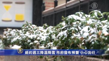 纽约周三降温降雪 市府发布预警 小心出行