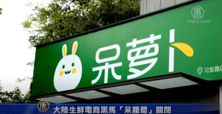 大陸生鮮電商黑馬「呆蘿蔔」關閉