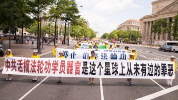 反活摘峰会19国参与 医界吁勿沦中共帮凶