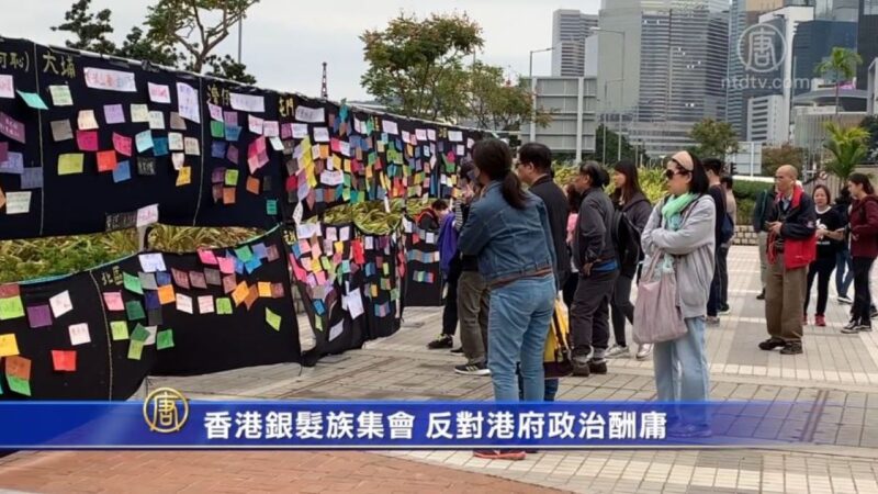 香港银发族集会 反对港府政治酬庸