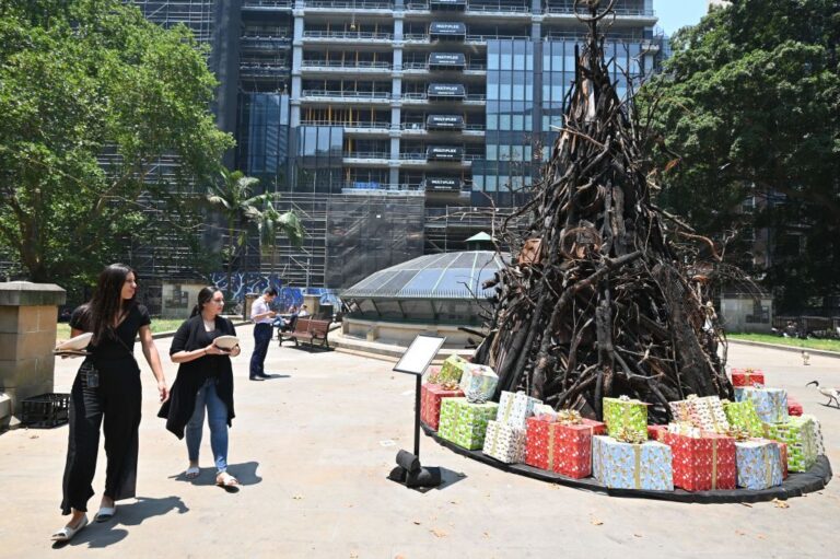 澳洲迎來史上最高溫 烈火「烤驗」聖誕季