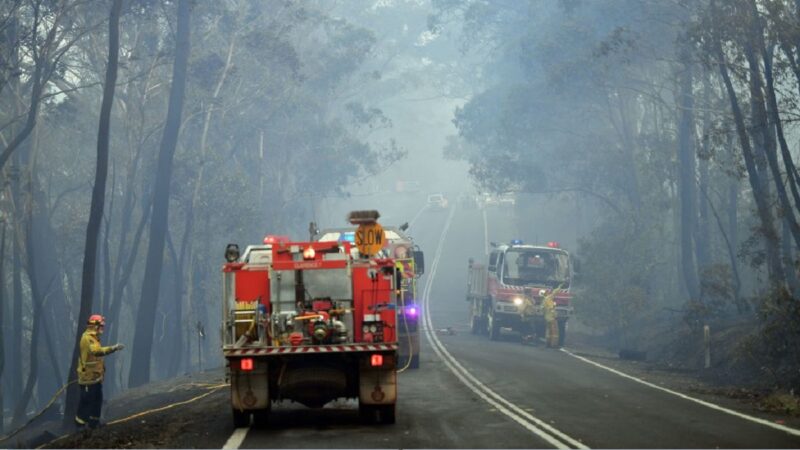 澳洲叢林野火燒不盡 26萬人連署取消跨年煙火