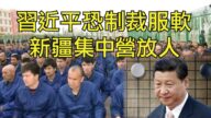 【江峰時刻】習近平恐制裁服軟 新疆集中營放人