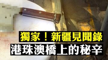【拍案驚奇】港再現離奇墜亡案；港人大橋人工島「被送中」