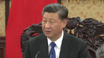 習近平見林鄭 滿頭灰白髮與兩會時判若兩人
