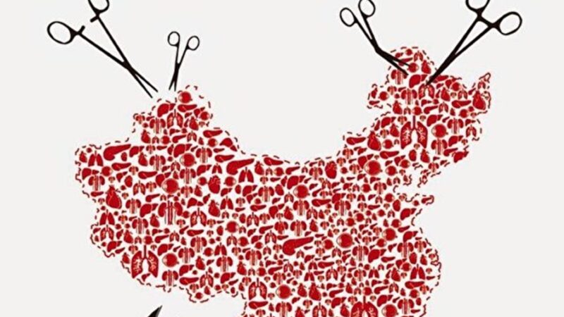 日韩台NGO《东京宣言》遏止中共器官移植滥用
