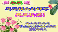 澳大利亚、新西兰多地法轮功学员恭祝李洪志大师新年好