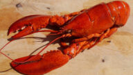 为什么龙虾在煮食后会变红色？（组图）
