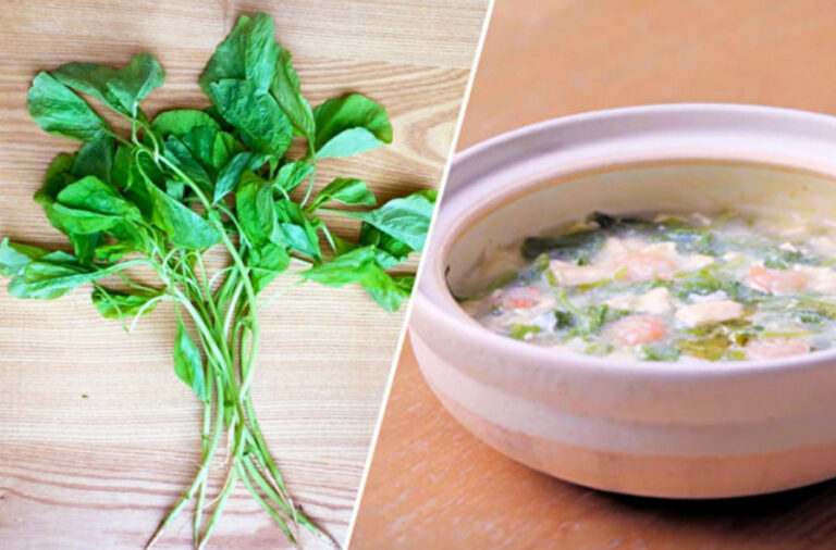 淨化血液吃莧菜 4步做莧菜豆腐羹（組圖）
