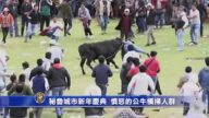秘魯城市新年慶典 憤怒的公牛橫掃人群