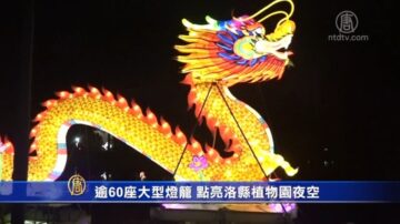 逾60座大型燈籠 點亮洛縣植物園夜空