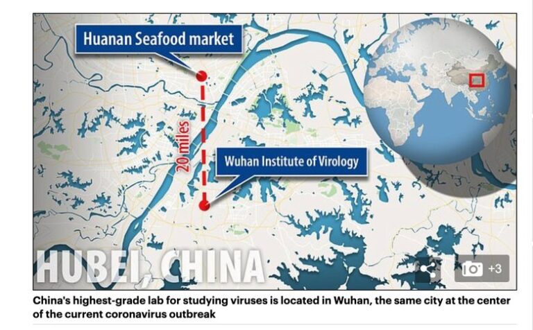 病毒震央巧合？英媒關切武漢病毒實驗室與中方外洩紀錄