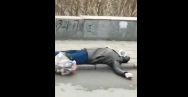 武漢肺炎視頻實錄（三）:男子買菜突倒斃|舉報從武漢回家引發血案|醫院走廊再現屍體
