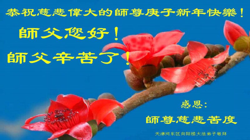 天津法轮功学员恭祝李洪志大师新年好(20条)