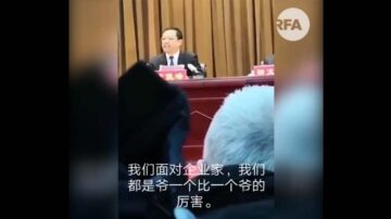 戏精？党官痛斥下属:再欺负民企格杀勿论(视频)