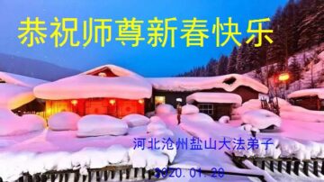 河北省沧州市盐山县大法弟子恭祝师尊新春快乐!