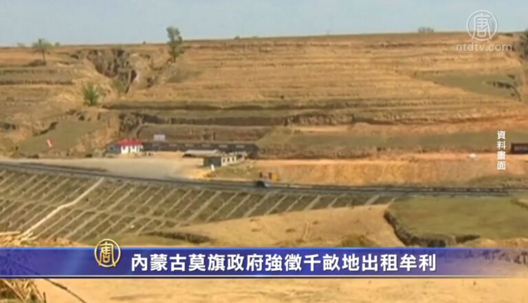 內蒙古莫旗政府強徵千畝地出租牟利