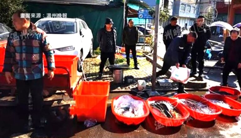 民眾：「柴油魚」水污染所致 陸媒掩蓋真相