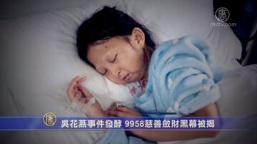 【禁闻】吴花燕事件发酵 9958慈善敛财黑幕被揭