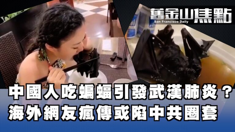 中國人吃蝙蝠 感染武漢肺炎新型病毒 或是中共故意導風向