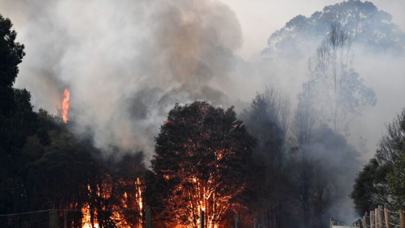 澳洲野火灾情惨重 已酿26人死逾10亿动物死伤