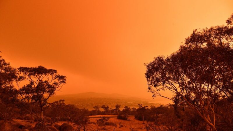 气温飙40度强风飘忽难测 澳洲野火扩散恐失控
