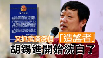 又抓“谣言者” 武汉抓8人 胡锡进洗地表演开始了